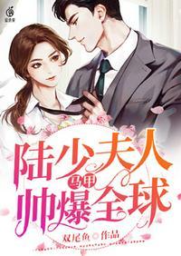 陆少夫人马甲请唔好
