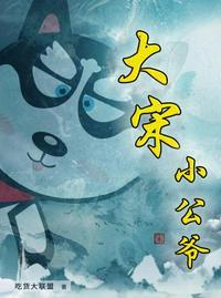 大宋小公爷TXT资源