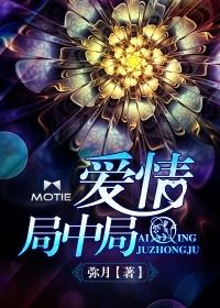 爱情局中局电影