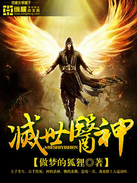 灭世医神苏宁笔趣阁文学