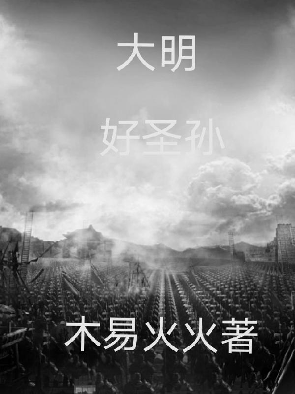 大明好圣孙金锁是谁
