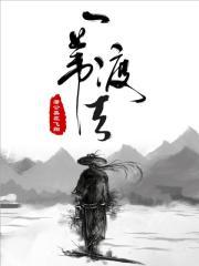 一苇渡天下价格