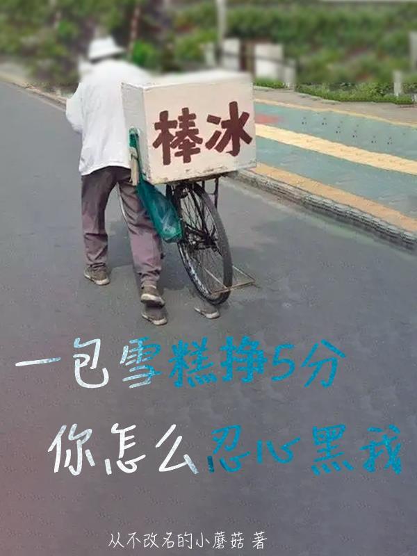 一个雪糕成本多少钱