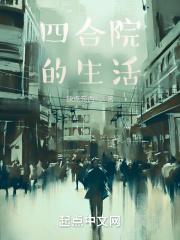 四合院的生活日常魏平安