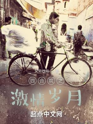 四合院之激情岁月 TⅩT