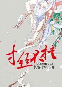 武林秘闻录 作者长安十年