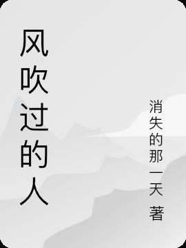 风吹过的地方是什么歌