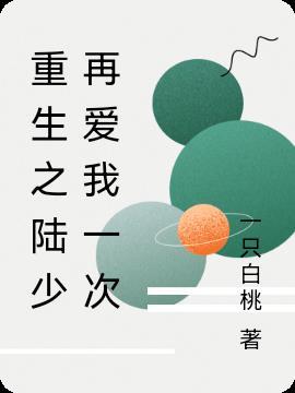 重生陆少宠妻无限度