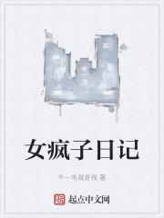 疯子日记