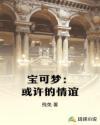请问宝可梦