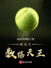 网坛之数据天王TXT
