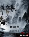 朝闻录多少集