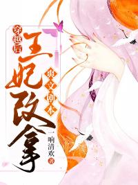 王后穿越成王妃