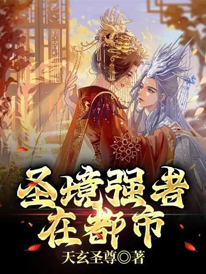 圣境等级划分