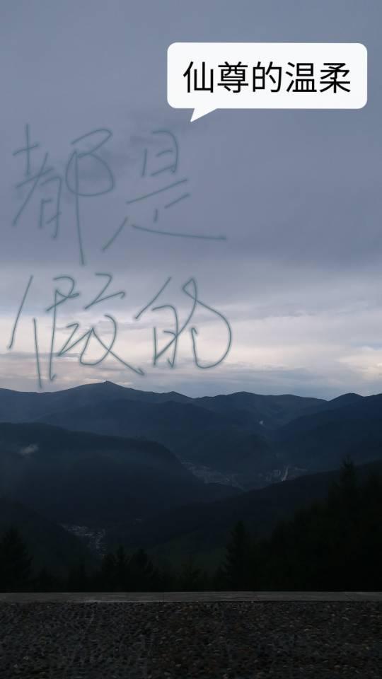 仙尊什么意思
