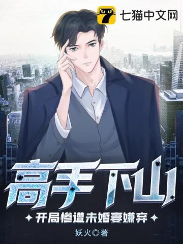 高手下山 开局九封婚