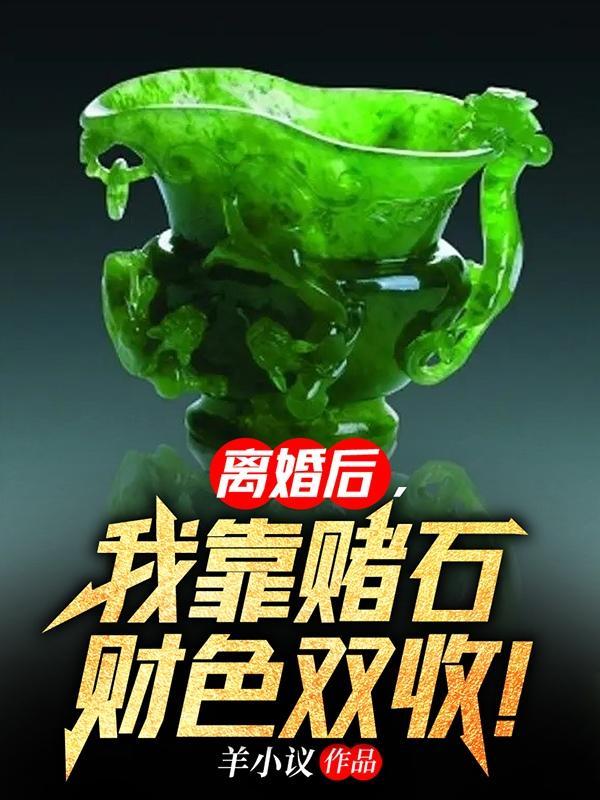 离婚后我赚了很多钱完结