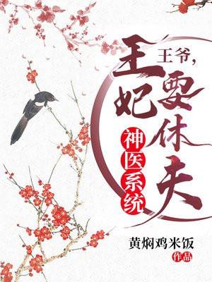 神医王妃要休夫结局