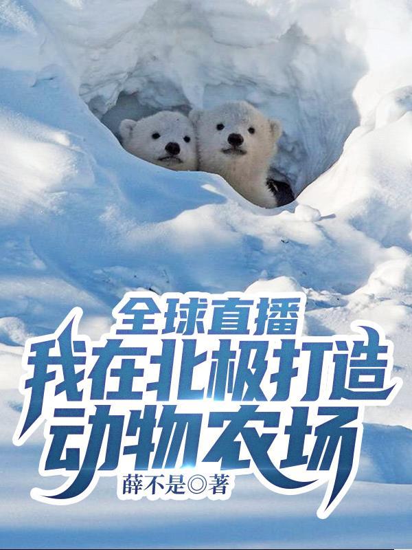 北极动物视频