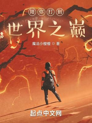 陪你打到世界之巅无防盗