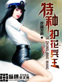 特种护花兵王傲宇阁