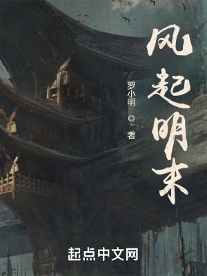 风起明末女主