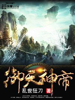 御天神帝电子书