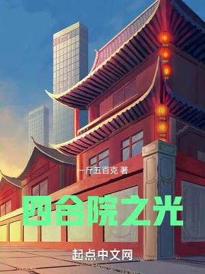 四合院之光相似