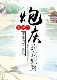系统之炮灰的宠妃路无错完整版