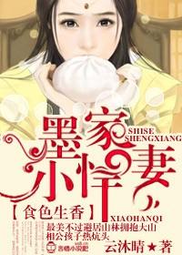 墨家小悍妻 云沐晴