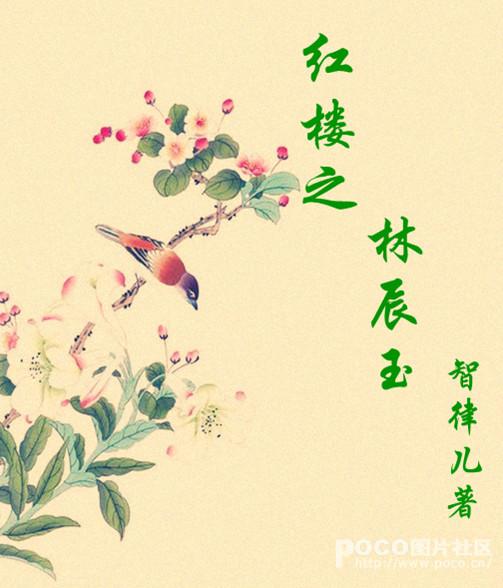 红楼随身空间推荐文