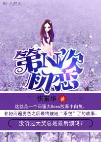n次初恋电影投资