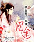 凰途似锦app安卓