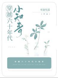 穿越六十年代小知青 平淡生活