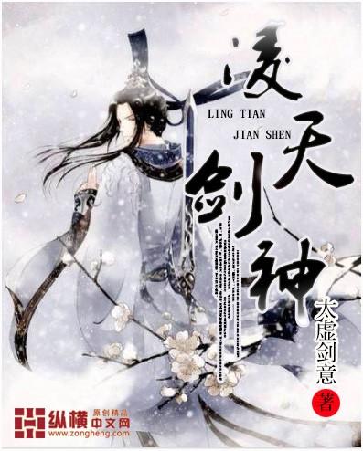 凌天剑神 太虚剑意