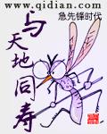 与天地同寿打三数字