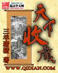 天下收藏董事长羽佳