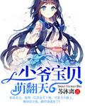 少爷宝宝错了txt
