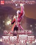 不眠高手有声书