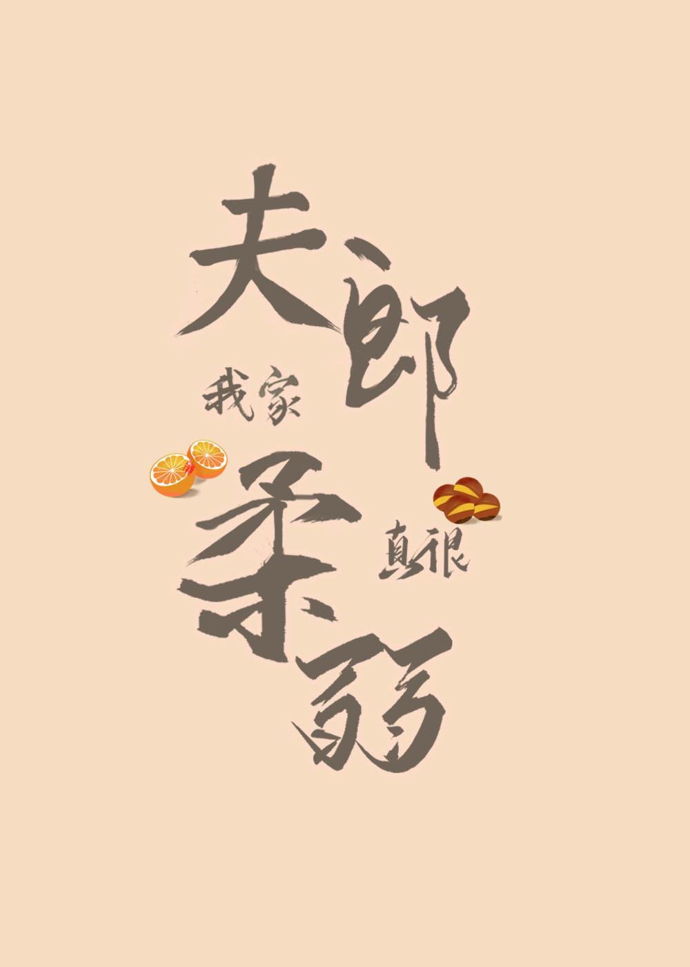 我家夫郎很全能剧透