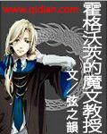 霍格沃茨的魔文教授TXT全集