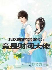 我的闪婚老公 紫芊珞