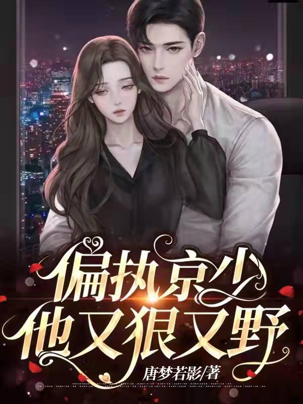 偏执少爷狠狠宠晋江