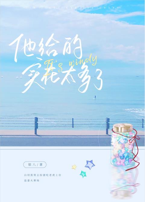 他给的实在太多了简介
