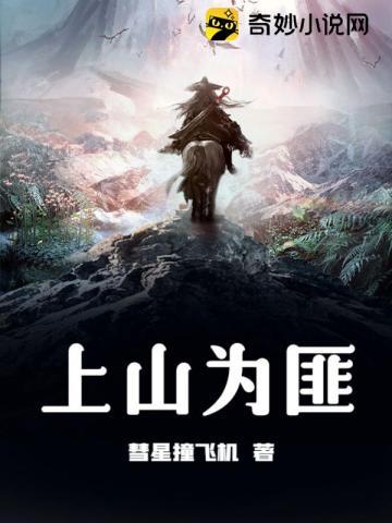 上山为匪TXT全集