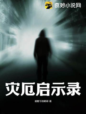 灾厄启示录1.3.0金手指