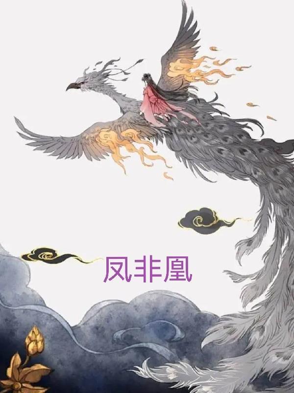 凤非凰 晋江