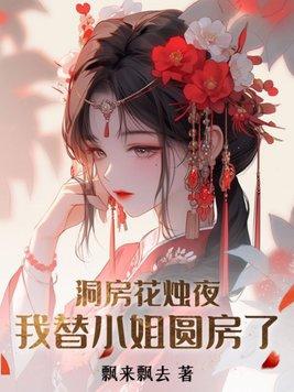 我替小姐圆房了的 txt