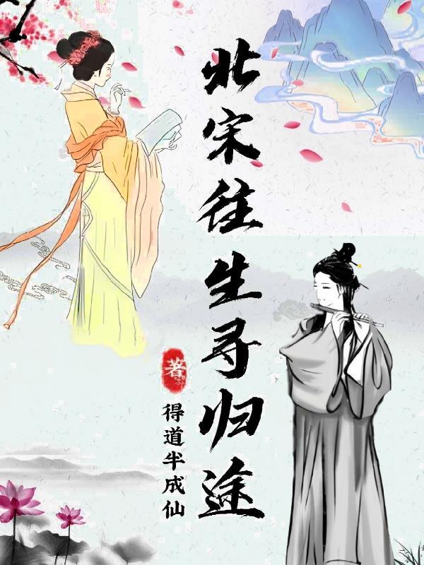 北宋往生寻归途TXT