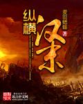 汉末霸业纵横